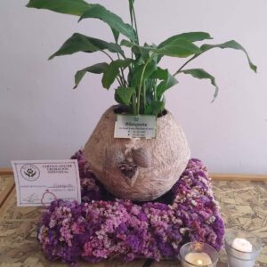 Bio Urna Ecológica